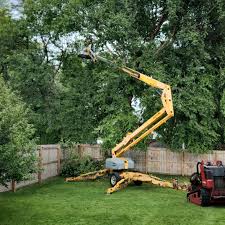  , USA Tree Care Pros